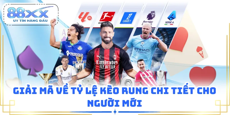 Giải mã về tỷ lệ kèo rung chi tiết cho người mới