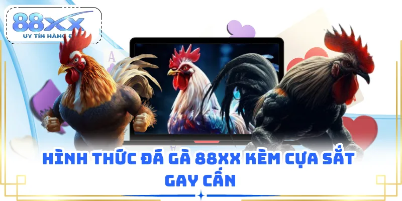 Hình thức đá gà 88XX kèm cựa sắt gay cấn